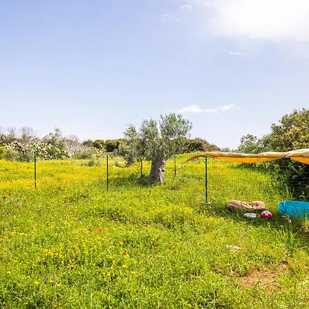 Дом отдыха La Casetta Di Campagna Di Paf