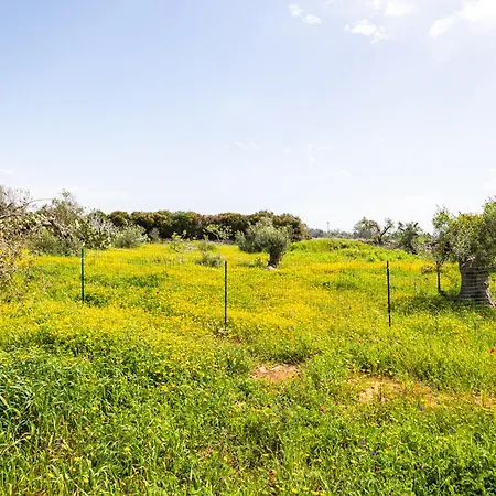 La Casetta Di Campagna Di Paf Nyaraló Racale