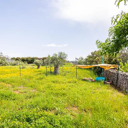 La Casetta Di Campagna Di Paf Racale