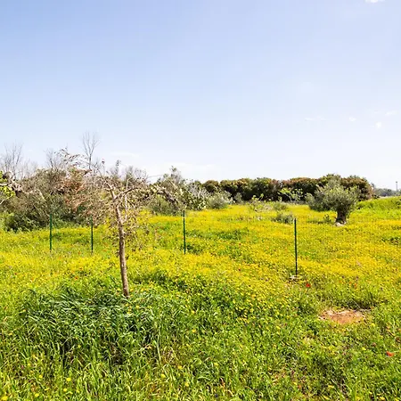 La Casetta Di Campagna Di Paf * Racale