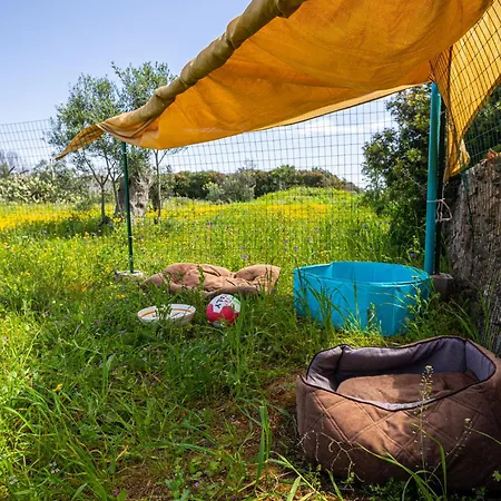 La Casetta Di Campagna Di Paf