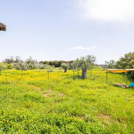 La Casetta Di Campagna Di Paf Racale