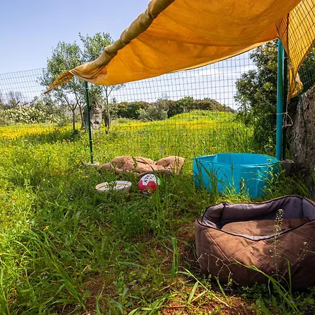 La Casetta Di Campagna Di Paf * Racale