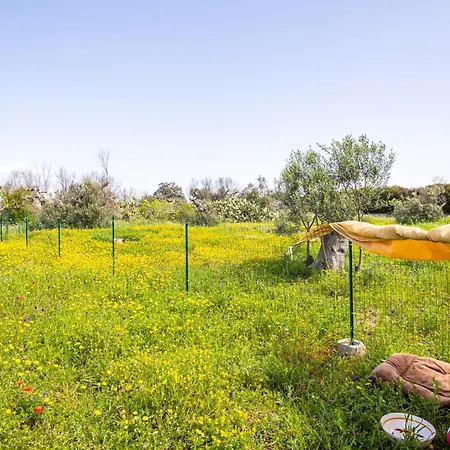 Feriehus La Casetta Di Campagna Di Paf